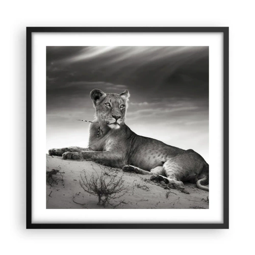 Poster in einem schwarzem Rahmen - Die Königin der Wüstenruhe - 50x50 cm