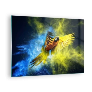Glasbild - Bild auf glas - Ein bunter Papagei im Flug vor einem gelben und blauen Hintergrund - 70x50cm - Im blauen und goldenen Staub - Moderne Wanddekoration für Wohnzimmer und Schlafzimmer ARTTOR