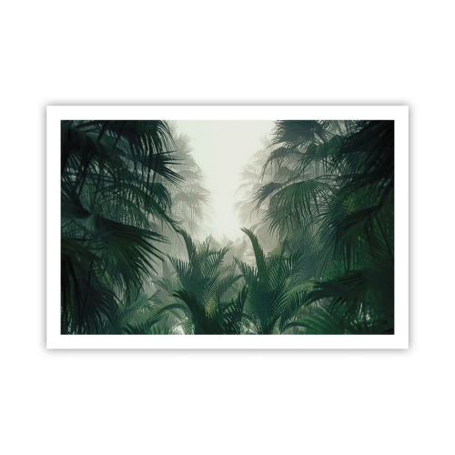 Poster - Tropisches Geheimnis - 91x61 cm