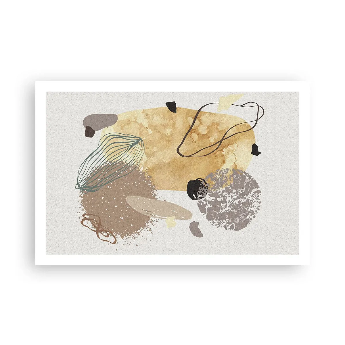 Poster - Angewandte Plumkologie - 91x61 cm