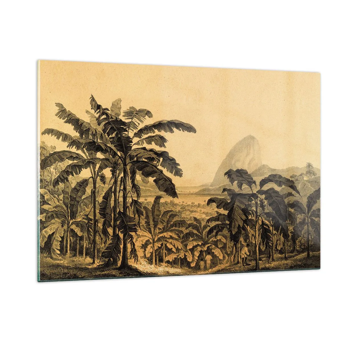 Glasbild - Bild auf glas - Eine Vintage-Illustration einer Bananenplantage mit einem entfernten Berg im Hintergrund. - 120x80cm - in einem kolonialen Klima - Moderne Wanddekoration für Wohnzimmer und Schlafzimmer ARTTOR