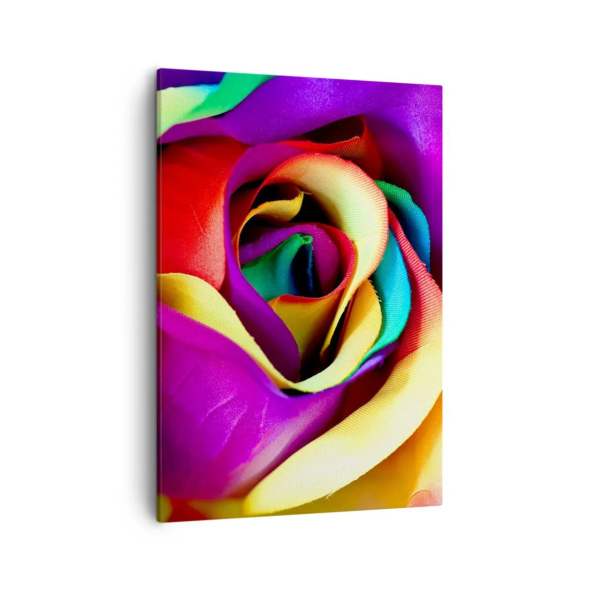 Bild auf Leinwand - Leinwandbild - Eine bunte Rose in Regenbogenfarben - 50x70cm - Es ist unmöglich - Moderne Wanddekoration für Wohnzimmer und Schlafzimmer ARTTOR