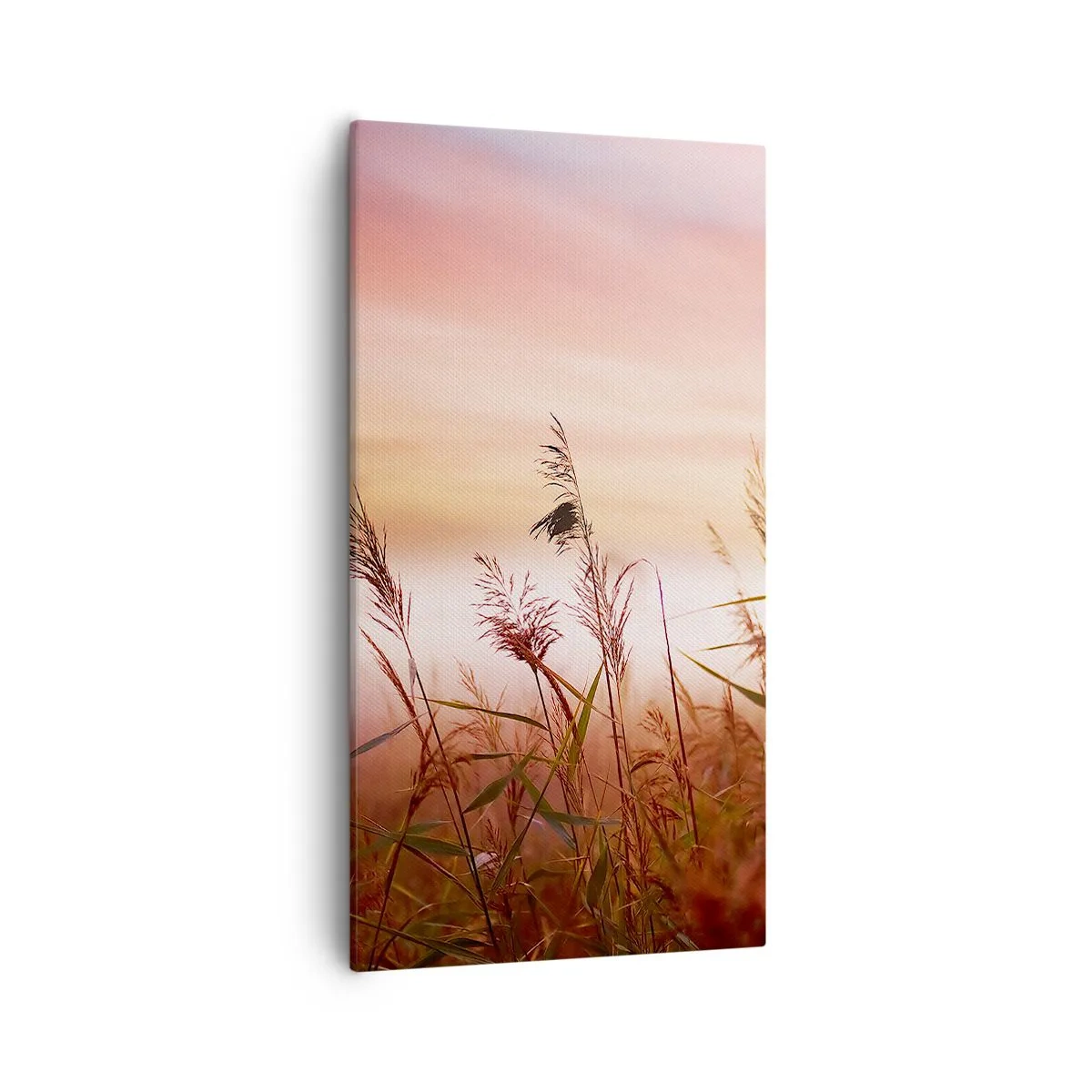 Bild auf Leinwand - Leinwandbild - Drachen, Löwenzahn, Wind - 55x100 cm