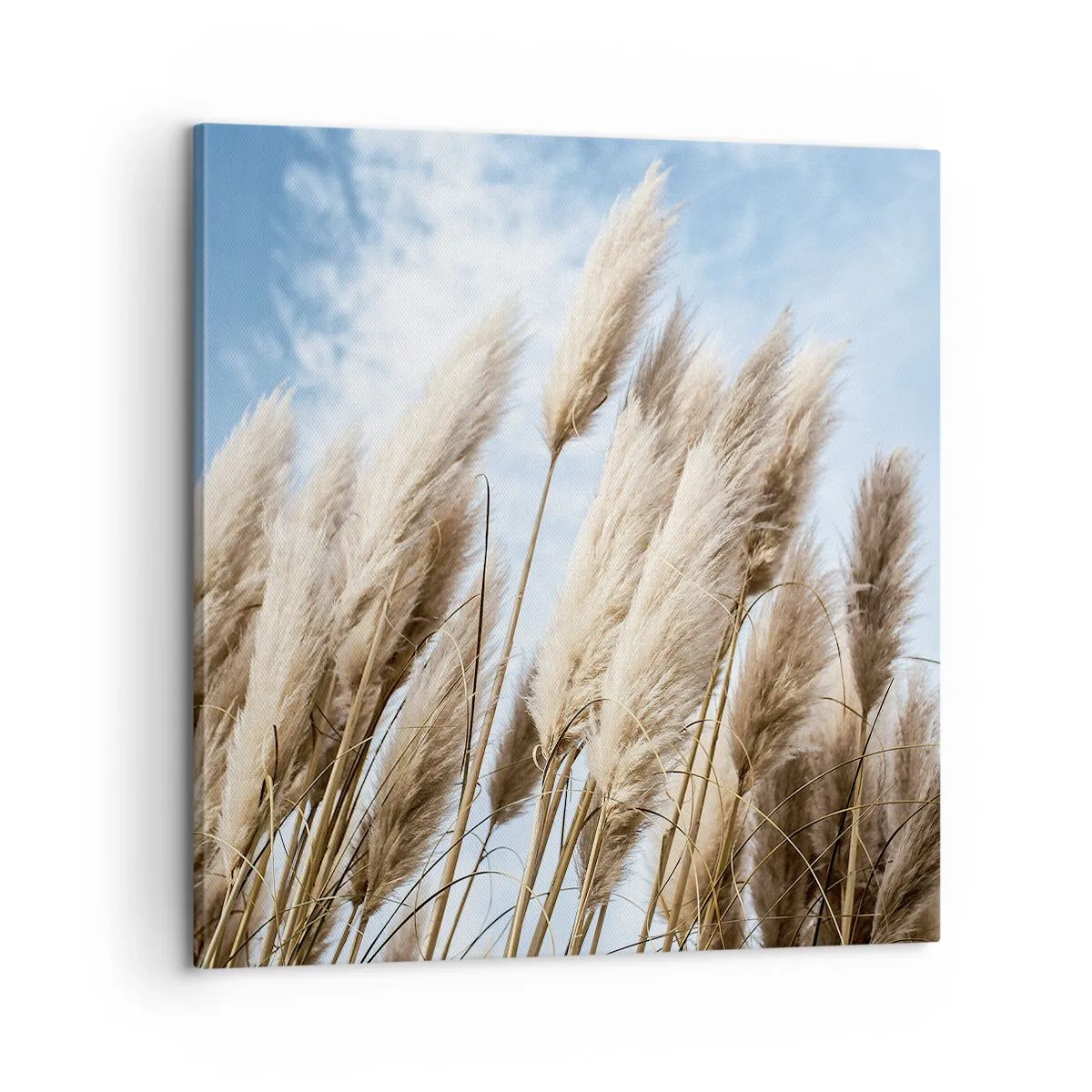 Bild auf Leinwand - Leinwandbild - Sonnige und windige Liebkosungen - 60x60 cm