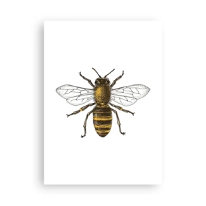 Poster - Vintage Bienendetailillustration - 50x70cm - Schön und gut - Moderne Wanddekoration für Wohnzimmer und Schlafzimmer ARTTOR