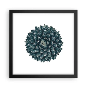 Poster in einem schwarzem Rahmen - Stern der Wüste - 30x30 cm