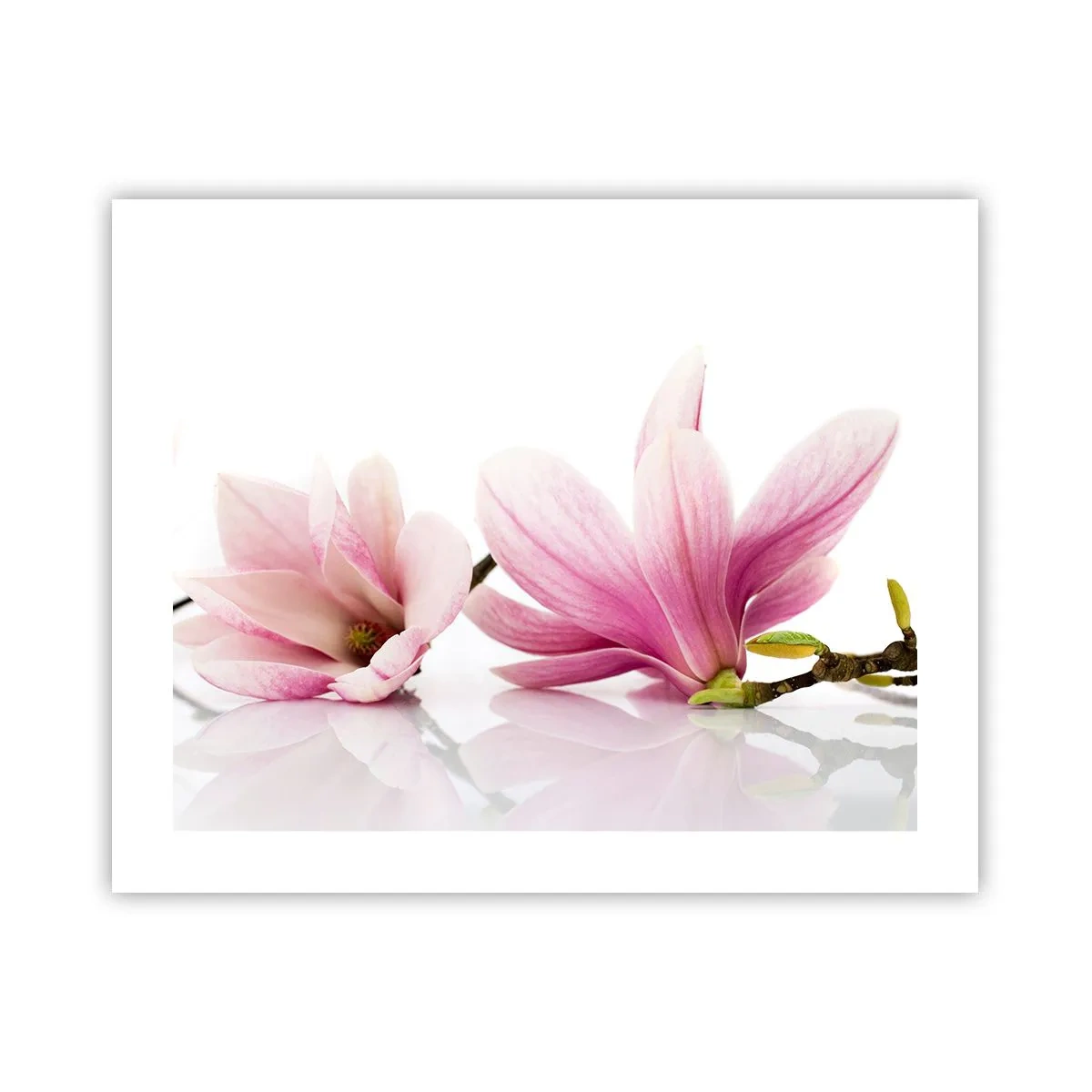 Poster - Zart wie ein Frühlingswind - 50x40 cm