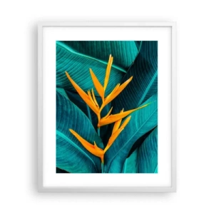 Poster in einem weißen Rahmen - Eden-Blume - 40x50 cm