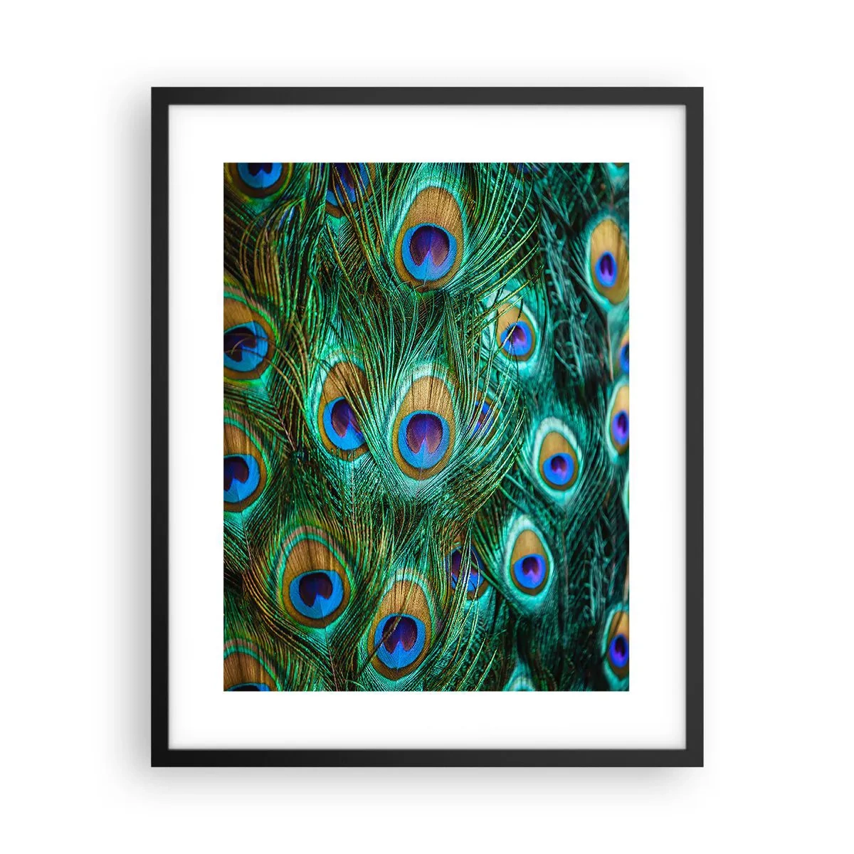Poster in einem schwarzem Rahmen - Ein Blick mit Pfauenaugen - 40x50 cm