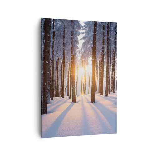 Bild auf Leinwand - Leinwandbild - Winterwald, beleuchtet von den Sonnenstrahlen - 50x70cm - Ganz klar schwarz auf weiß - Moderne Wanddekoration für Wohnzimmer und Schlafzimmer ARTTOR