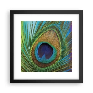 Poster in einem schwarzem Rahmen - Auge in Auge - 30x30 cm