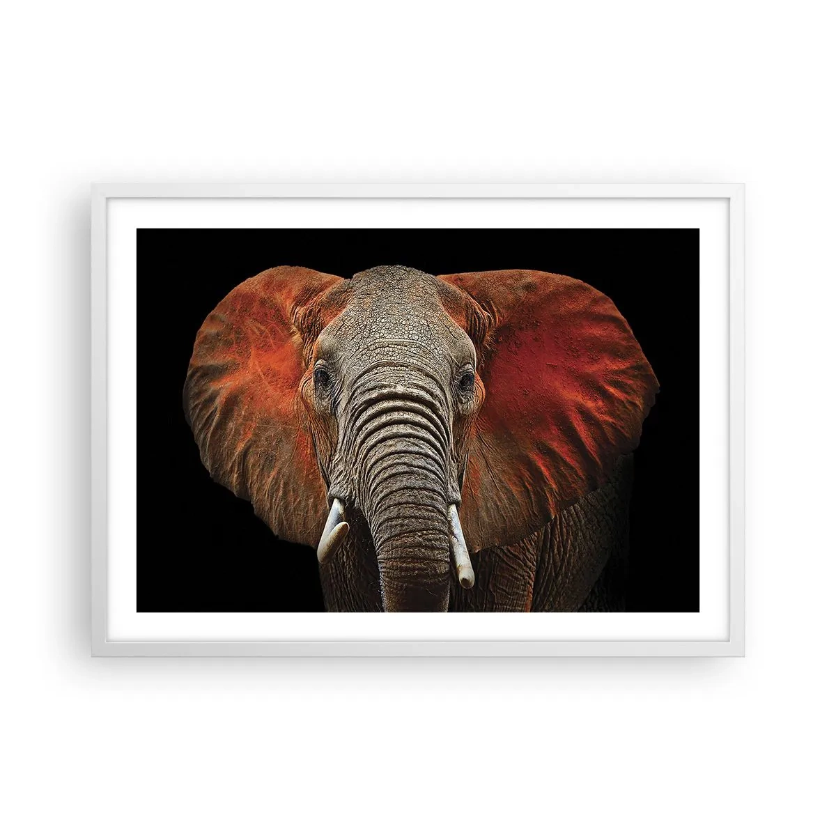 Poster in einem weißen Rahmen - Ich bin wild und du? - 70x50 cm