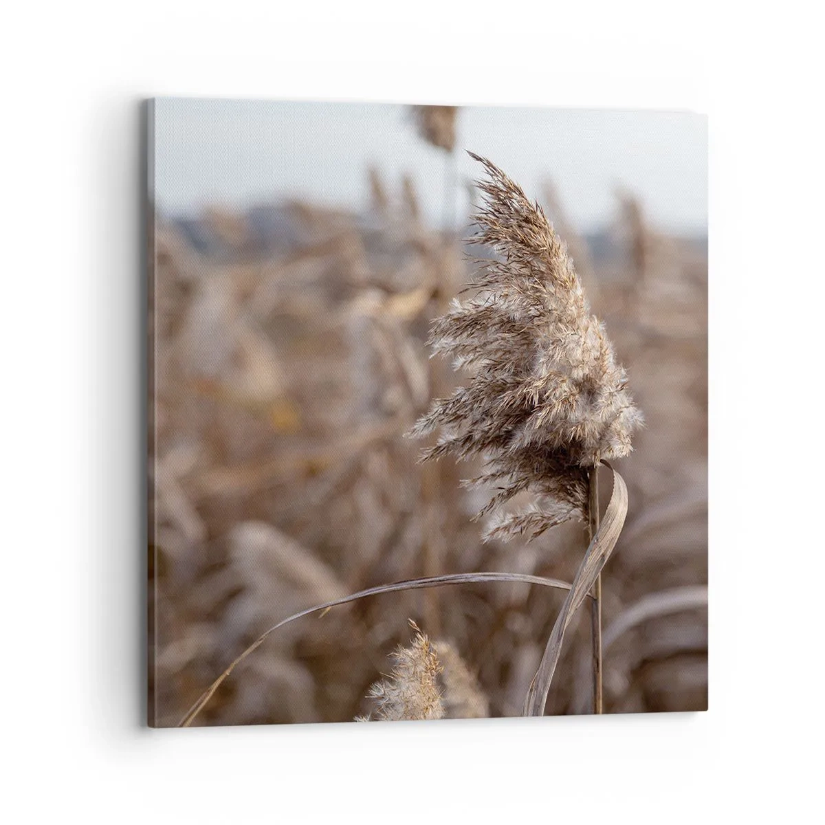 Bild auf Leinwand - Leinwandbild - Zeit, mit dem Wind zu gehen - 70x70 cm