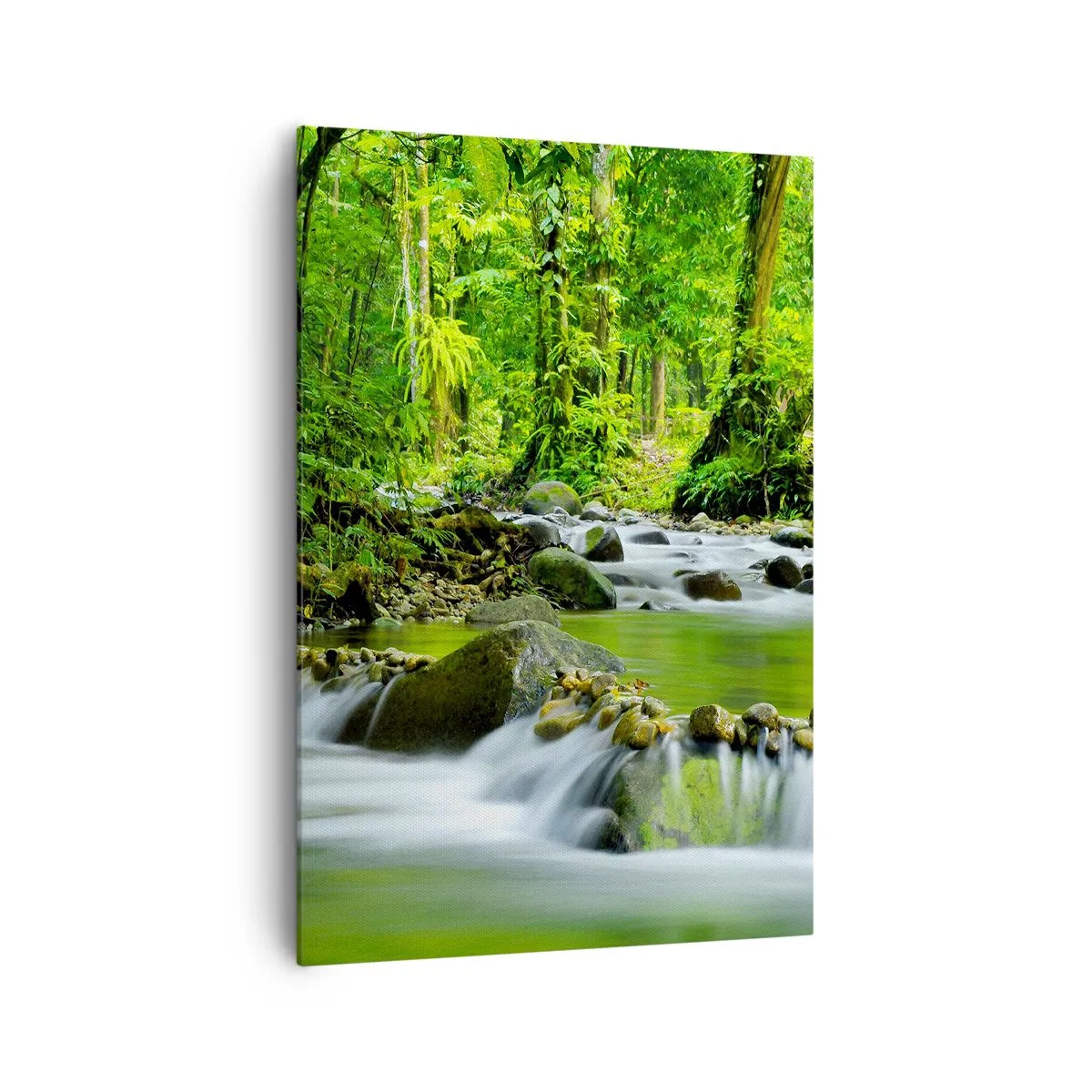 Bild auf Leinwand - Leinwandbild - Ein Bach in einem üppigen tropischen Wald - 70x100cm - Schwimmen Sie in einem Meer aus Grün - Moderne Wanddekoration für Wohnzimmer und Schlafzimmer ARTTOR