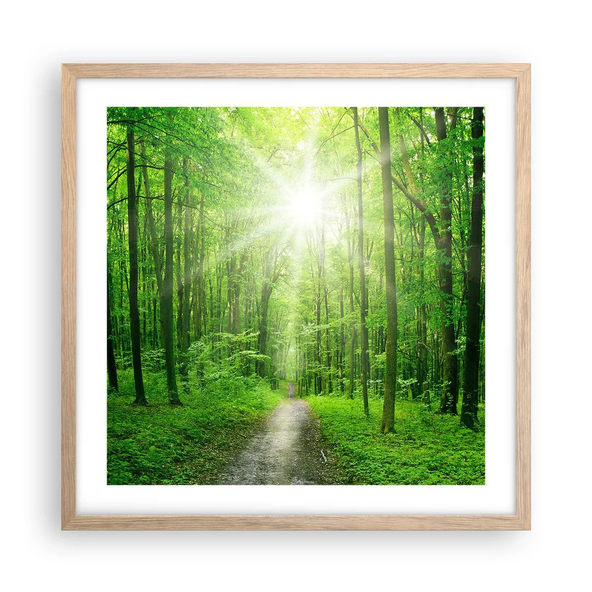 Poster in einem Rahmen aus heller Eiche - Die grüne Kathedrale - 50x50 cm