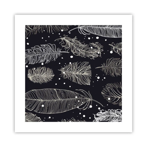 Poster - Gefiederte Spitze - 40x40 cm