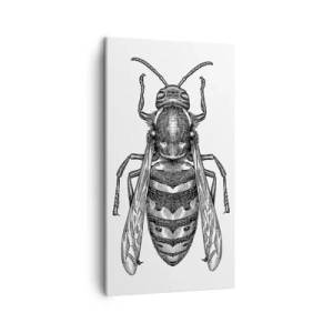 Bild auf Leinwand - Leinwandbild - Von einem Insektenplaneten - 45x80 cm