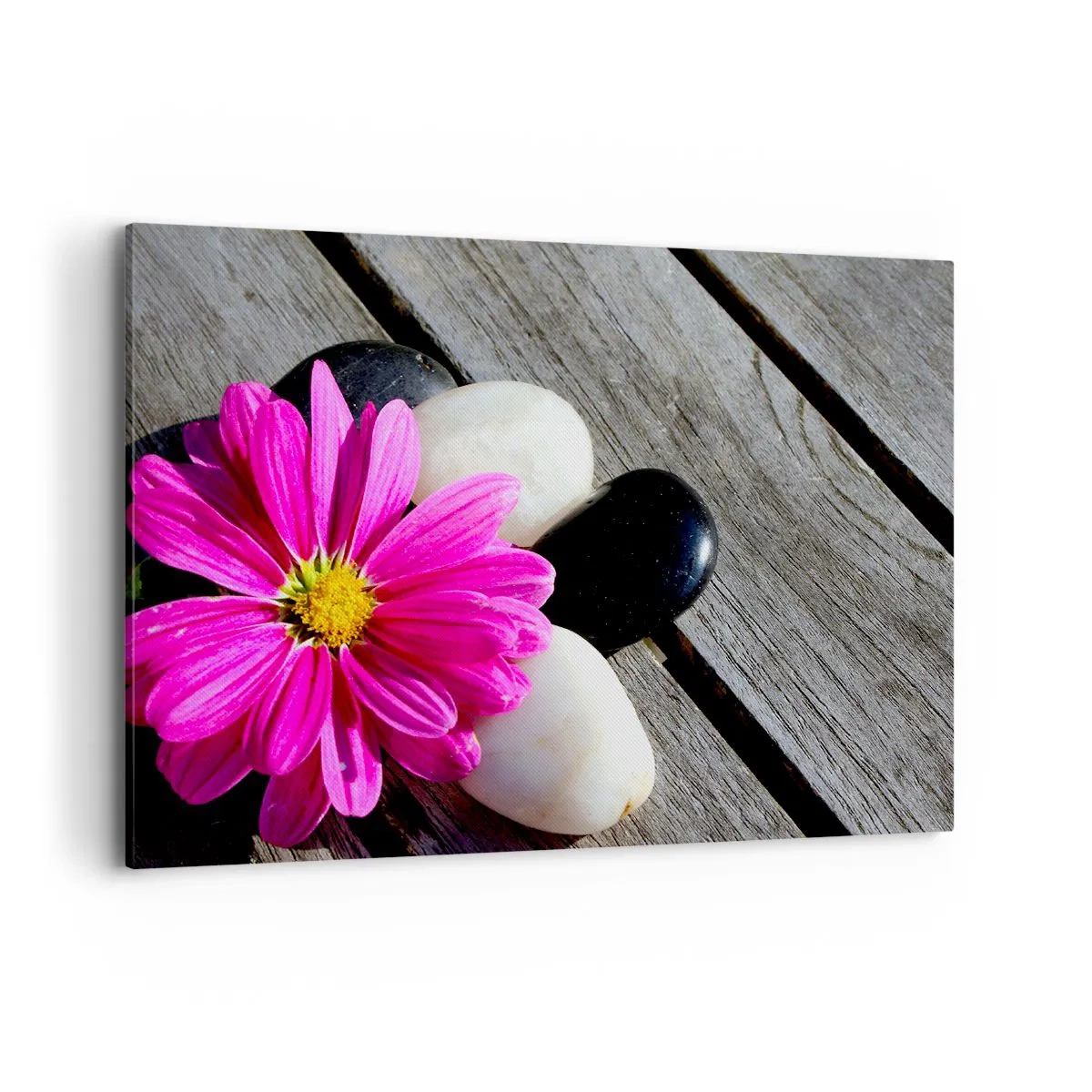 Bild auf Leinwand - Leinwandbild - Rosa Blume auf einem Hintergrund aus Holzbrettern mit Steinen - 100x70cm - Ruhe auf dem Pier - Moderne Wanddekoration für Wohnzimmer und Schlafzimmer ARTTOR