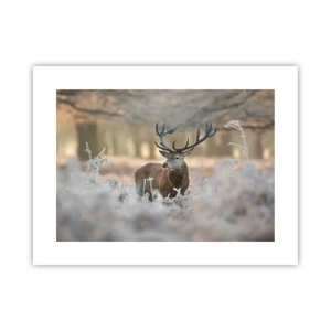 Poster - Ein flotter Morgen - 40x30 cm