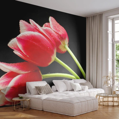 Fototapete Premium Sand - Ein Versprechen der reinen Liebe - Blumen, Tulpen, Natur - 400x280 cm