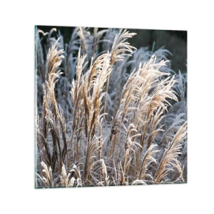 Glasbild - Bild auf glas - Gekleidet mit Frost - 30x30 cm