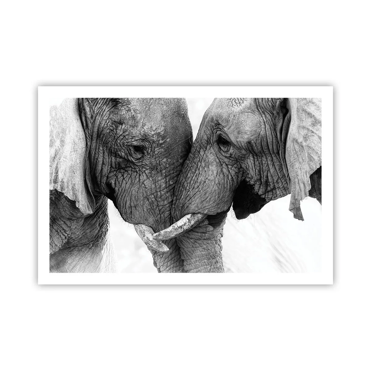 Poster - Herzliches Geständnis - 91x61 cm