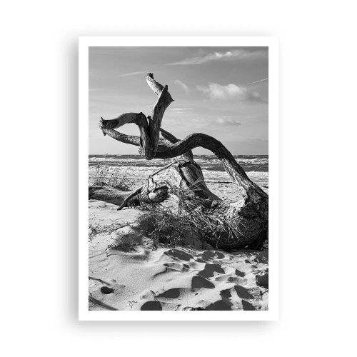 Poster - Meeresskulptur - 70x100 cm