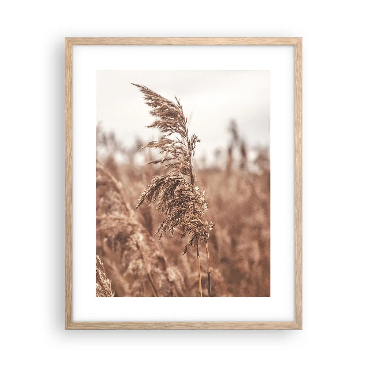 Poster in einem Rahmen aus heller Eiche - Auf den Feldern ist es schon Herbst - 40x50 cm