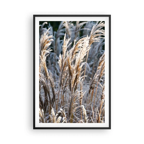 Poster in einem schwarzem Rahmen - Gekleidet mit Frost - 61x91 cm