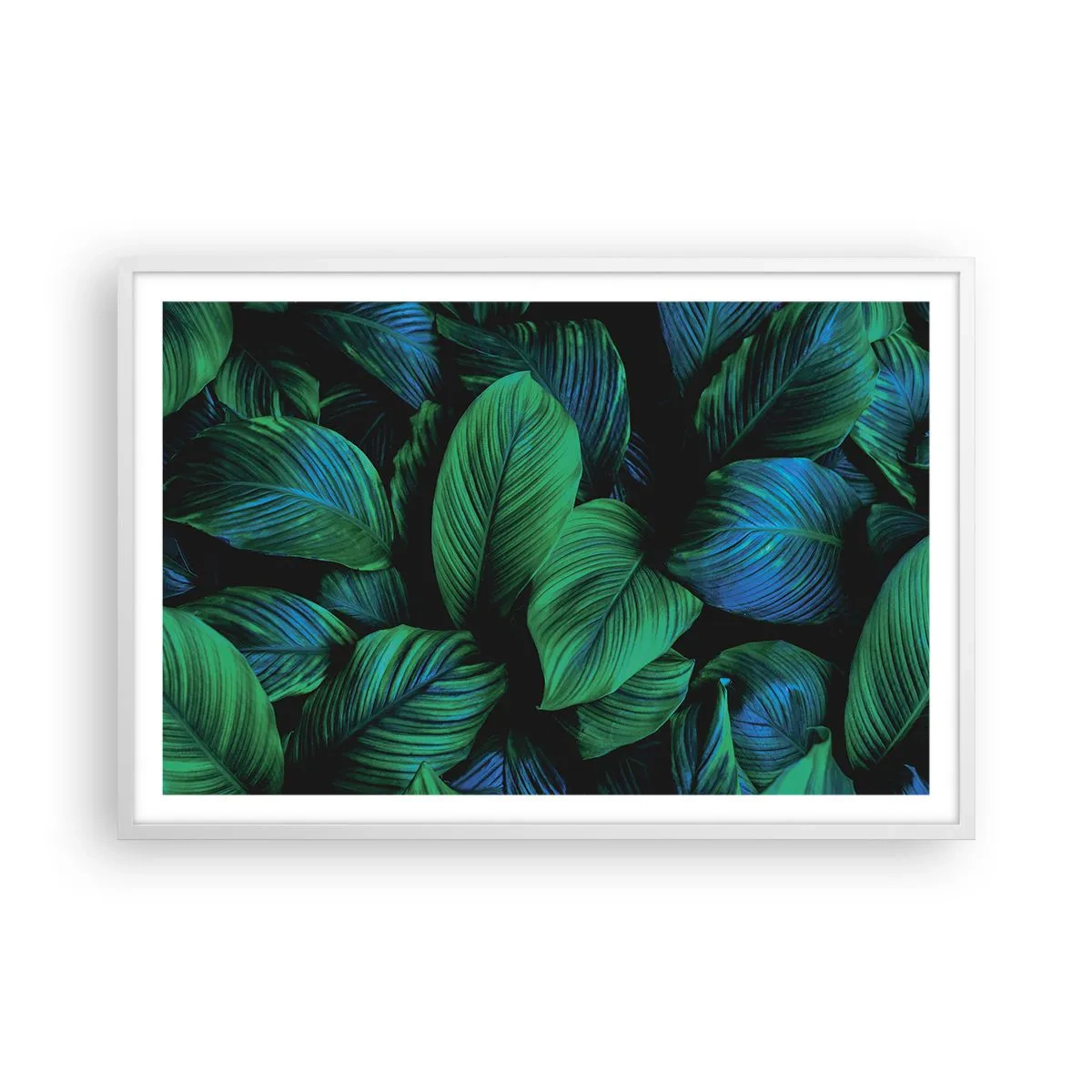 Poster in einem weißen Rahmen - In der grünen Menge - 91x61 cm