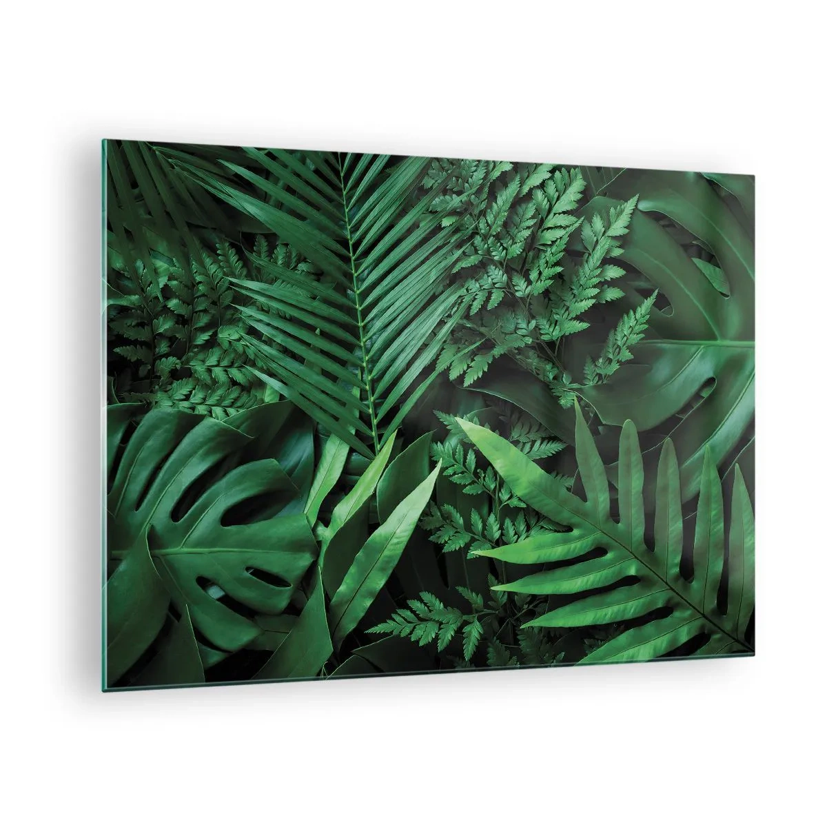 Glasbild - Bild auf glas - Dichte grüne Blätter tropischer Pflanzen in der Komposition - 70x50cm - Eingebettet ins Grüne - Moderne Wanddekoration für Wohnzimmer und Schlafzimmer ARTTOR