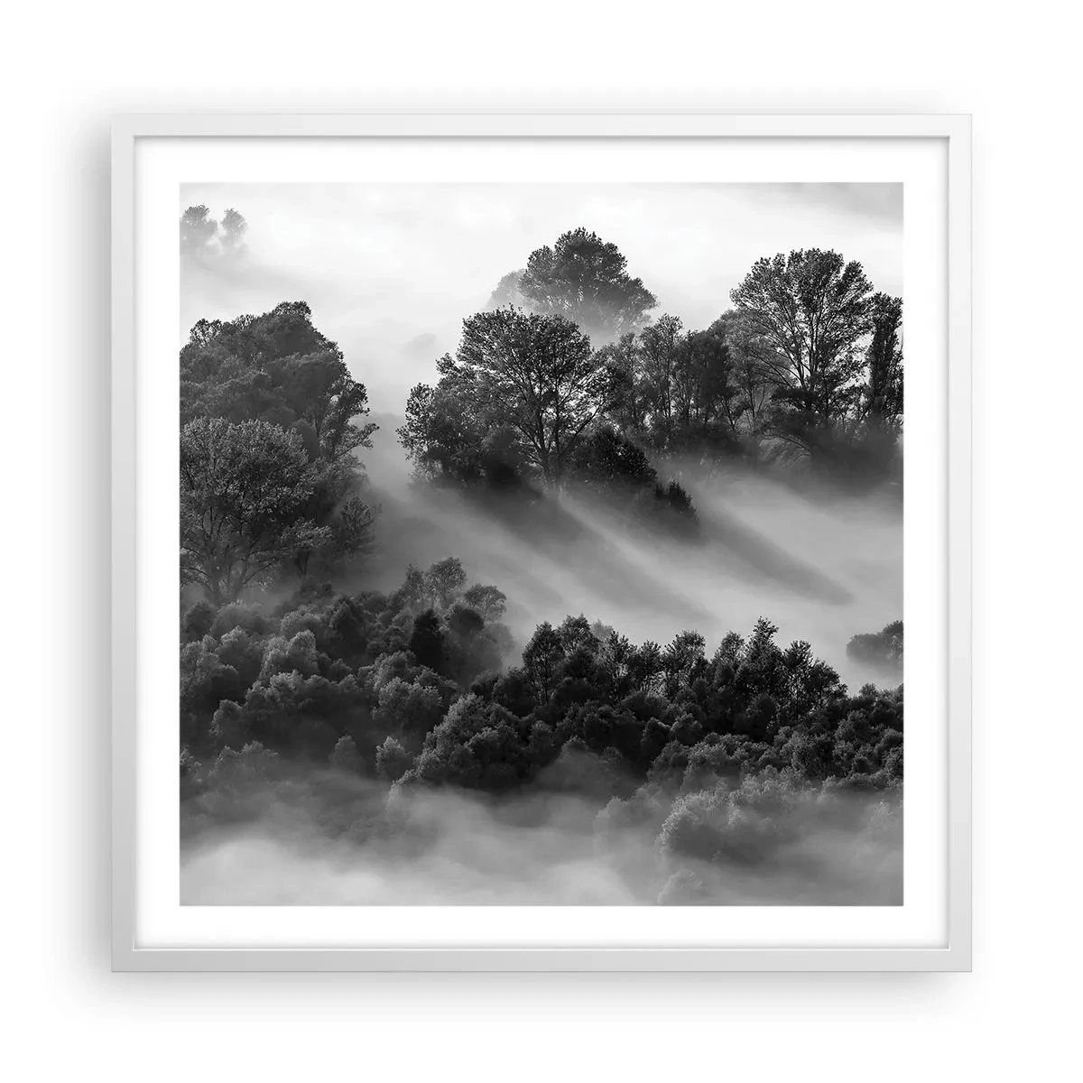 Poster in einem weißen Rahmen - Aufstehend aus dem Schlaf - 60x60 cm