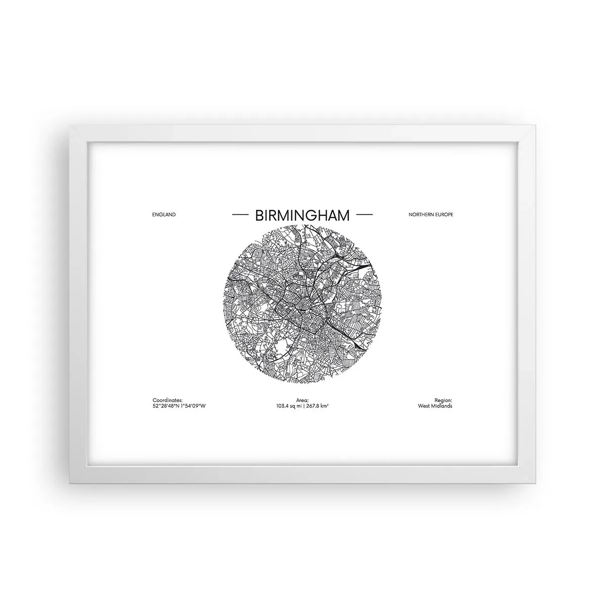Poster in einem weißen Rahmen - Anatomie von Birmingham - 40x30 cm