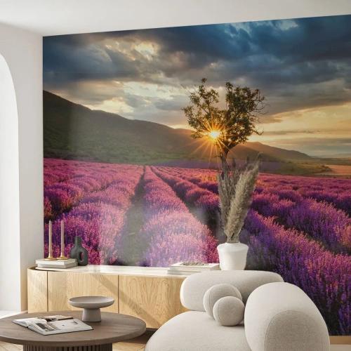 Selbstklebende Fototapete Deluxe Sticker - Fliederfarbenes Aroma - Landschaft, Lavendel, Provence - 100x70 cm