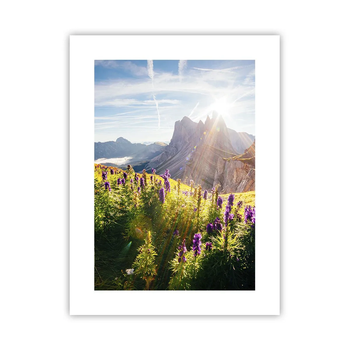 Poster - Das geheime Leben der Kräuter - 30x40 cm