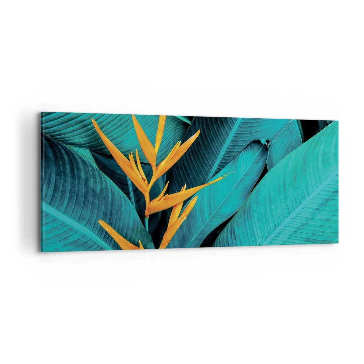 Bild auf Leinwand - Leinwandbild - Eden-Blume - 100x40 cm