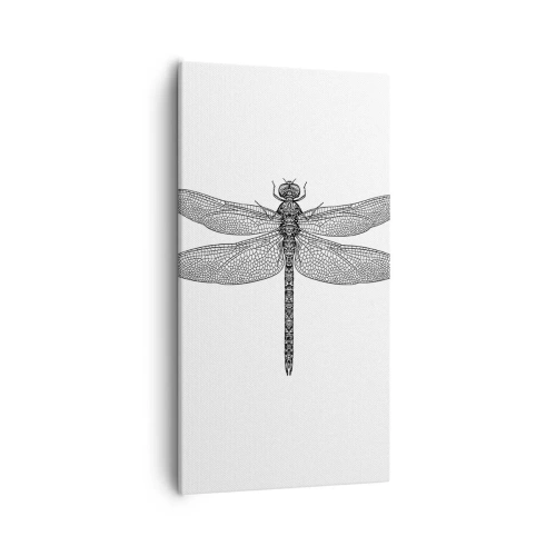 Bild auf Leinwand - Leinwandbild - Präzision der Natur - 55x100 cm
