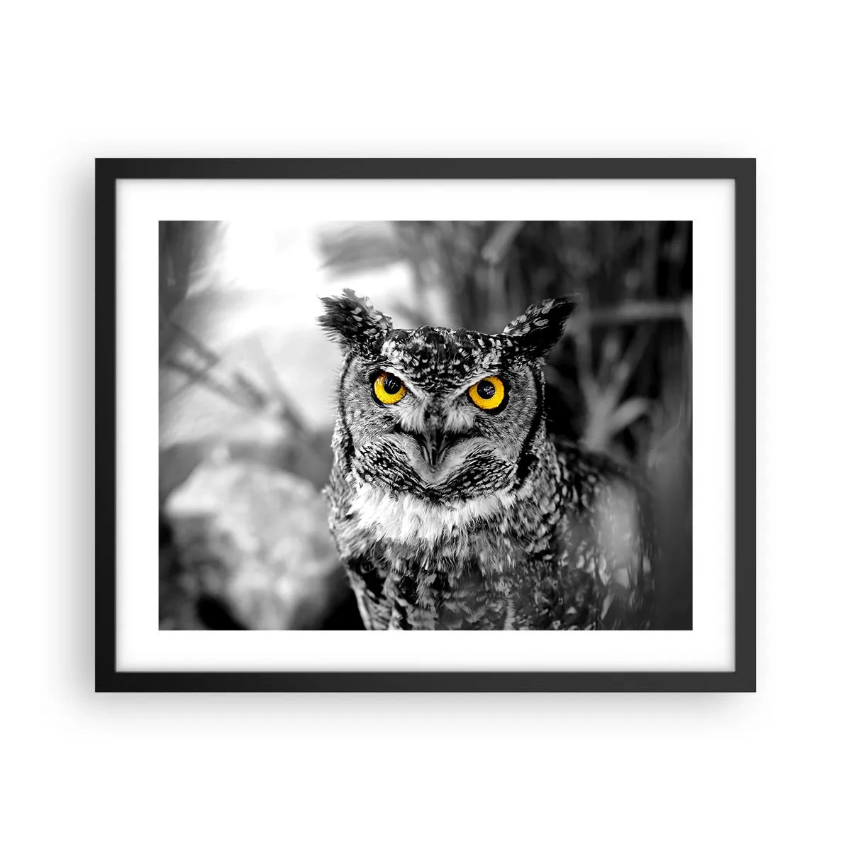 Poster in einem schwarzem Rahmen - Nichts wird sich verstecken - 50x40 cm