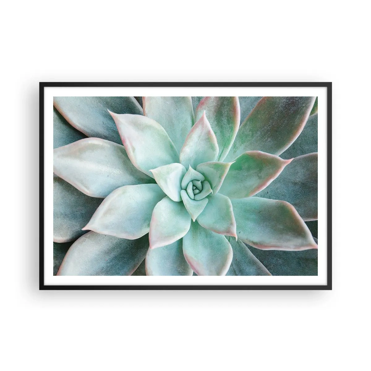 Poster in einem schwarzem Rahmen - Nahaufnahme einer grünen Sukkulente - 100x70cm - Das Herz der Wüste - Moderne Wanddekoration für Wohnzimmer und Schlafzimmer ARTTOR