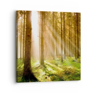 Bild auf Leinwand - Leinwandbild - Die Elfen werden bald erscheinen - 30x30 cm