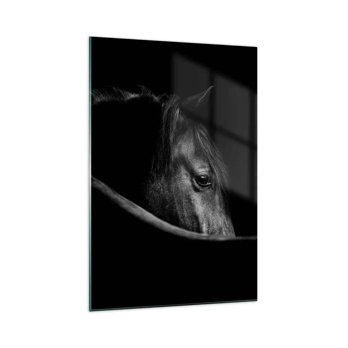 Glasbild - Bild auf glas - Ein Schwarz-Weiß-Porträt eines Pferdes mit einem subtilen Spiel aus Licht und Schatten vor dunklem Hintergrund. - 70x100cm - Schwarzer Prinz - Moderne Wanddekoration für Wohnzimmer und Schlafzimmer ARTTOR