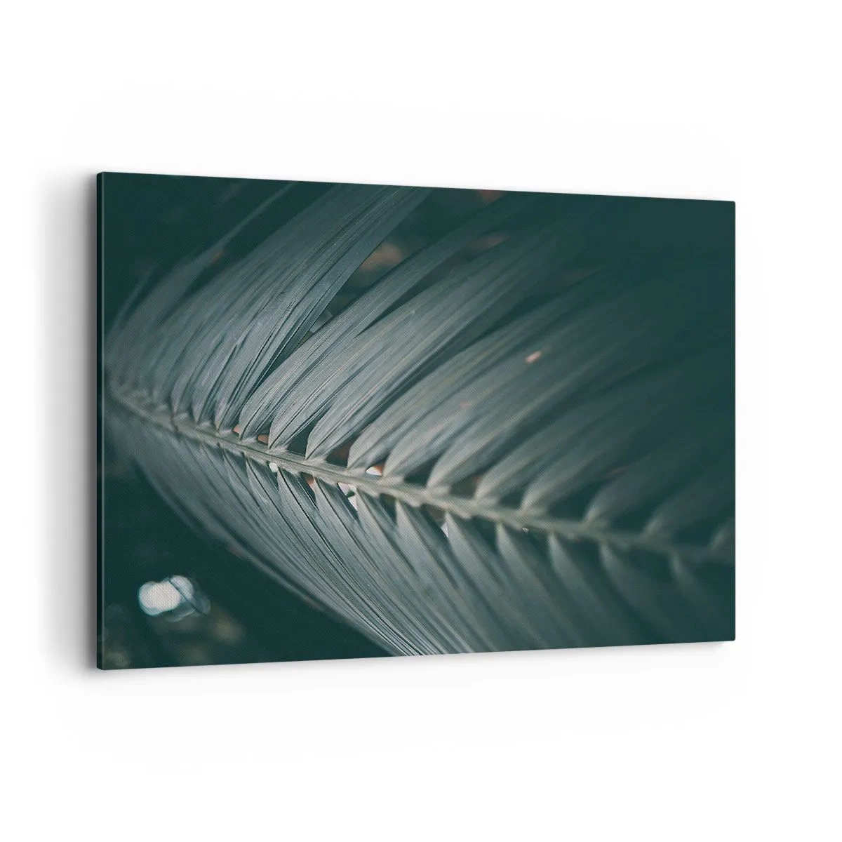 Bild auf Leinwand - Leinwandbild - Nahaufnahme eines dunkel getönten Palmblattdetails - 100x70cm - Die Präzision der Natur - Moderne Wanddekoration für Wohnzimmer und Schlafzimmer ARTTOR