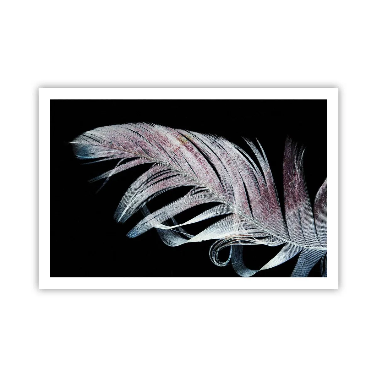 Poster - Denke an Berührung - 91x61 cm