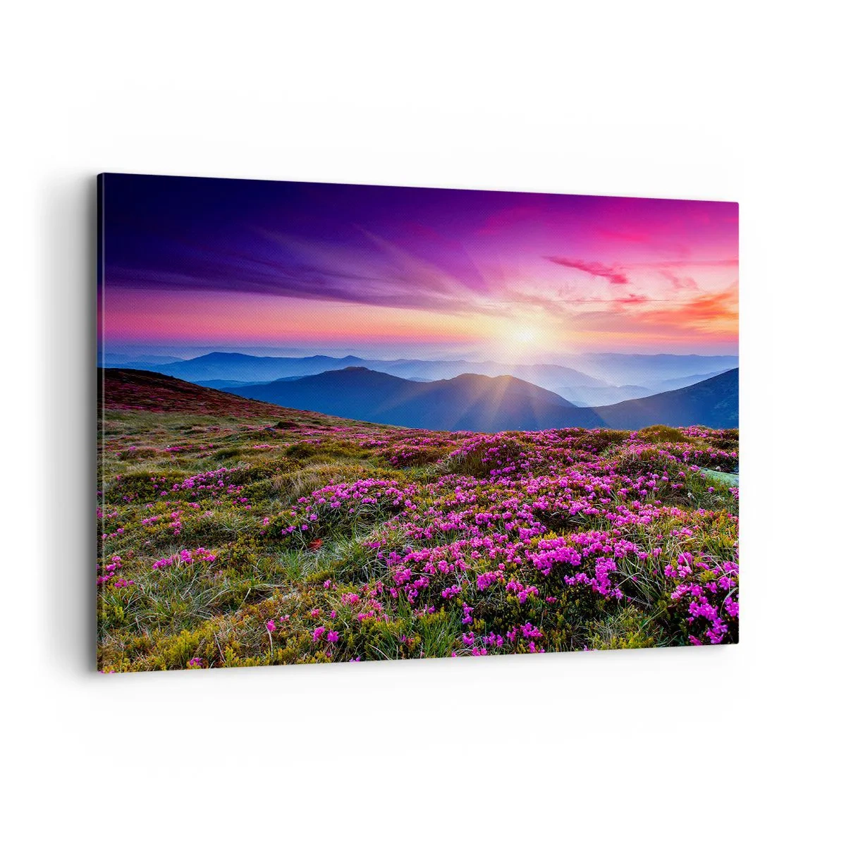 Bild auf Leinwand - Leinwandbild - Bergwiese mit Blumen bei Sonnenuntergang - 100x70cm - Kräuter dufteten nach frischen Trauben von den Feldern - Moderne Wanddekoration für Wohnzimmer und Schlafzimmer ARTTOR