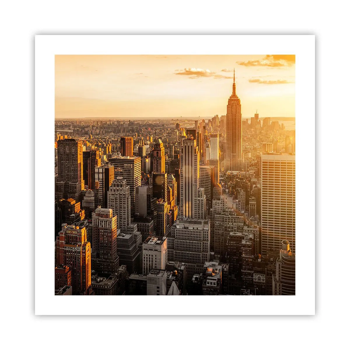 Poster - In der Sonne wachsen - 50x50 cm