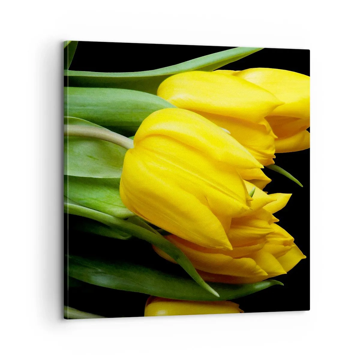 Bild auf Leinwand - Leinwandbild - Aus klarer Sonne entstanden - 60x60 cm