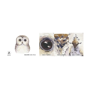 Fototapeten Muster Selbstklebend Deluxe Sticker - Schau mir in die Augen - Eule, Vogel, Grafik - 100x30 cm