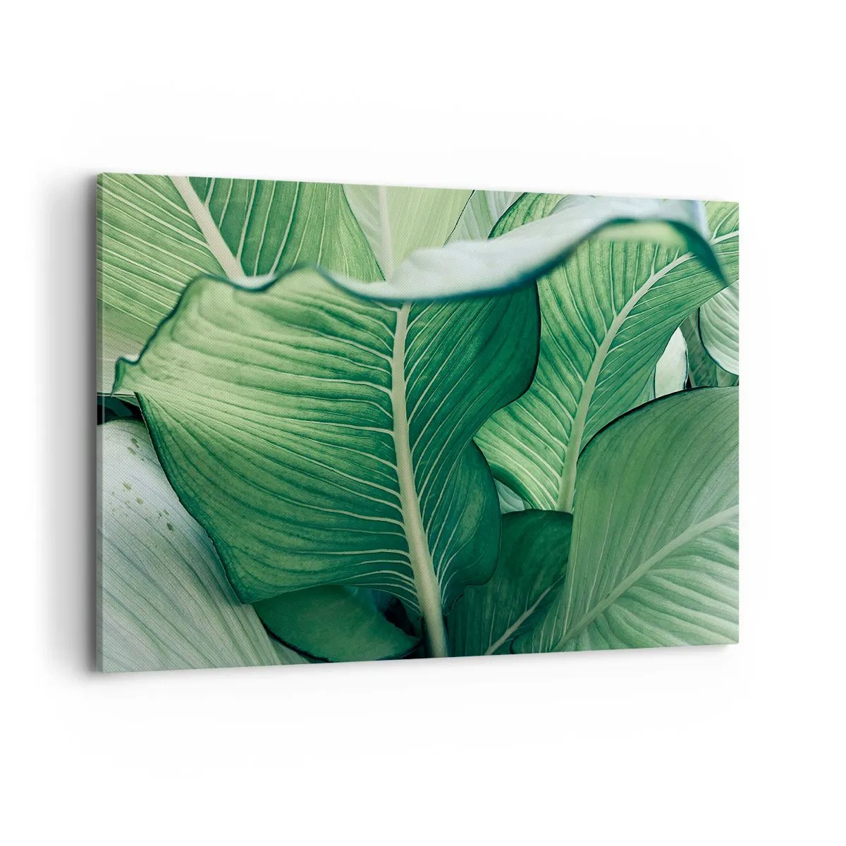 Bild auf Leinwand - Leinwandbild - Grüne Blätter mit ausdrucksstarken Details und Struktur - 120x80cm - Intensiv grünes Leben - Moderne Wanddekoration für Wohnzimmer und Schlafzimmer ARTTOR