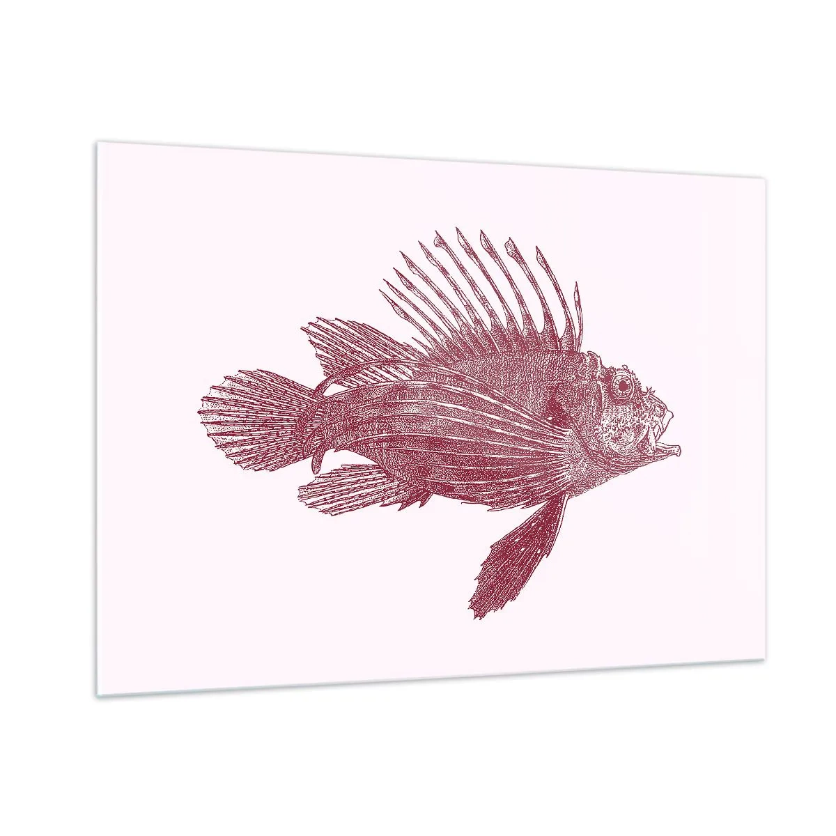 Glasbild - Bild auf glas - Skizze eines exotischen Fisches in Burgunderfarbe auf hellem Hintergrund - 100x70cm - Bewohner exotischer Gewässer - Moderne Wanddekoration für Wohnzimmer und Schlafzimmer ARTTOR