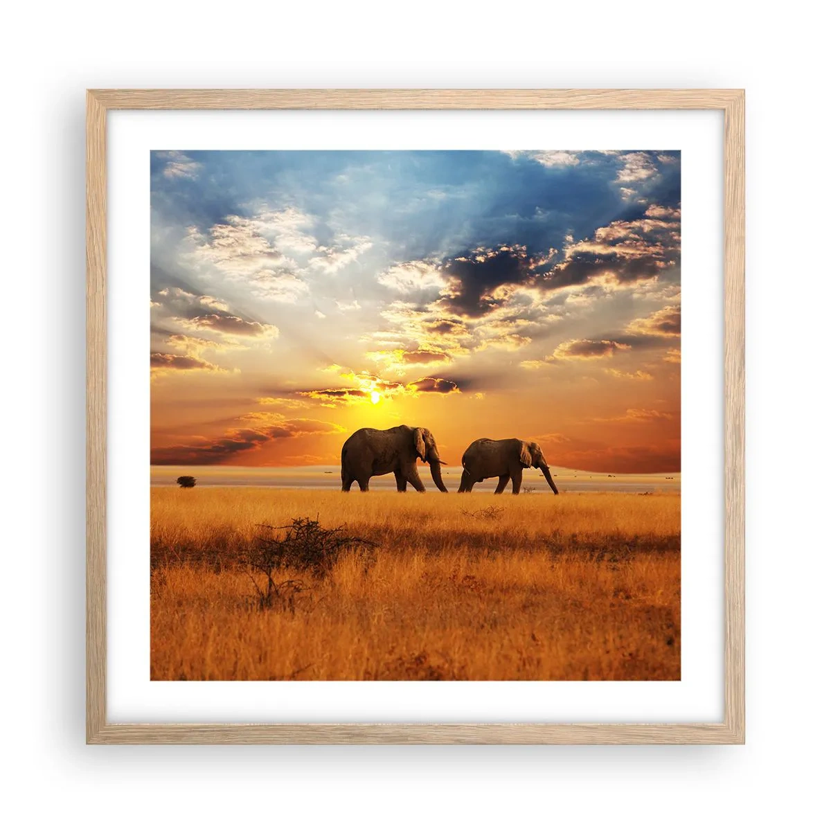Poster in einem Rahmen aus heller Eiche - Familienspaziergang - 50x50 cm